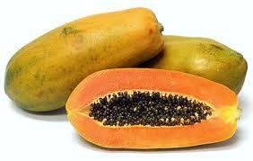 papaia carica 2