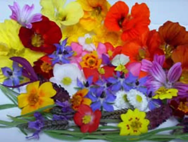 mix flores